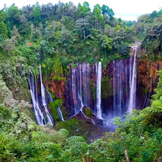 Tumpan Sewu Lumajang