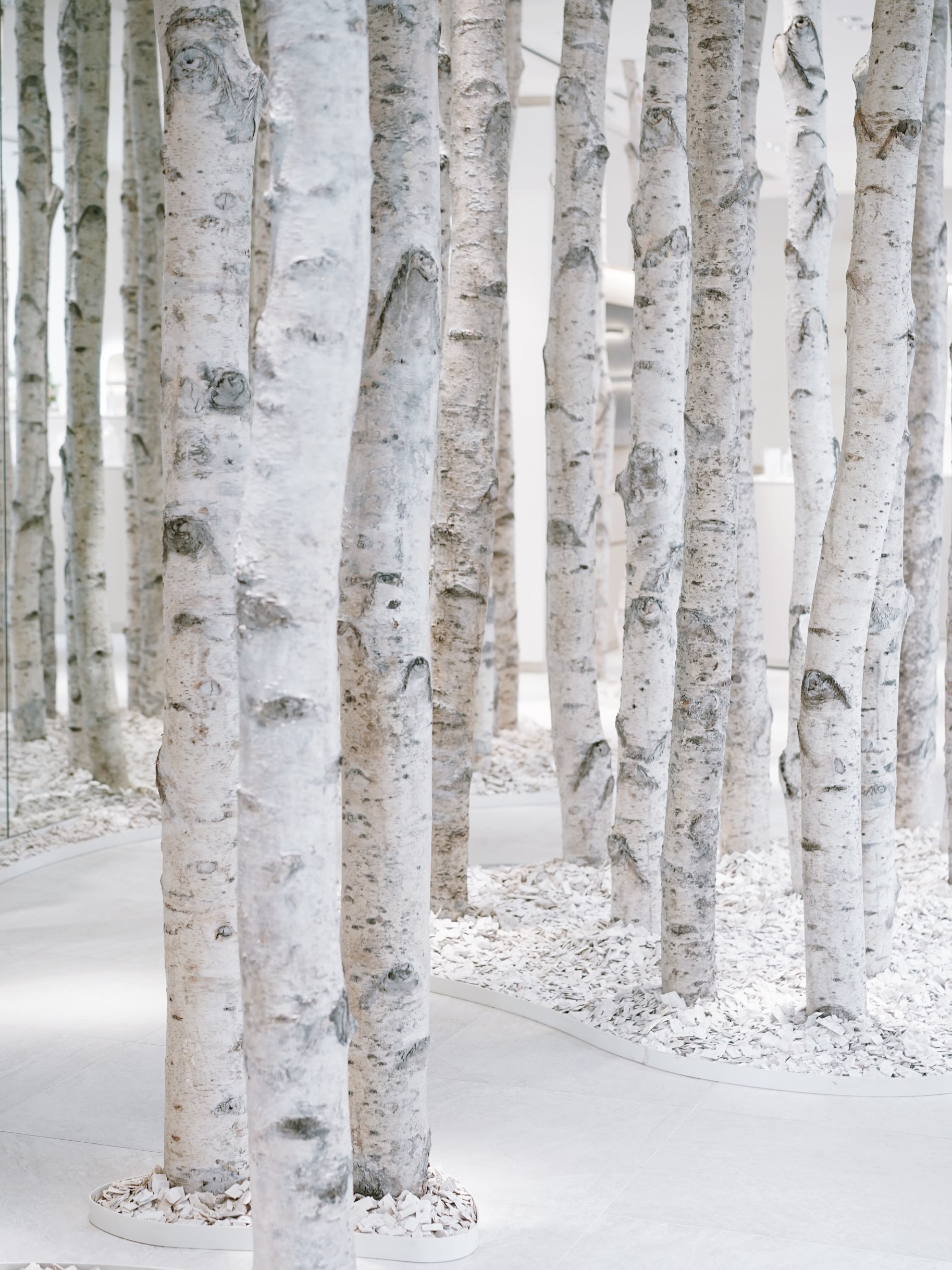 都内に白樺の森が！？KOIVE CAFE | Trip.com 東京