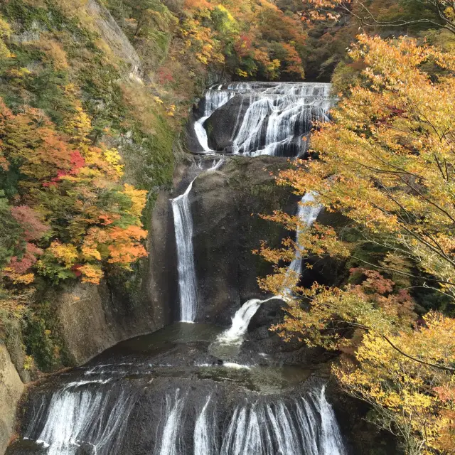 紅葉の袋田の滝