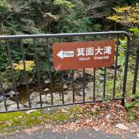 箕面公園｜日本の滝 百選に選ばれた箕面大滝