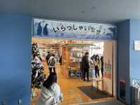 名古屋港水族館周辺！入園しなくても楽しめる🙆‍♀️🐬💓【名古屋港】