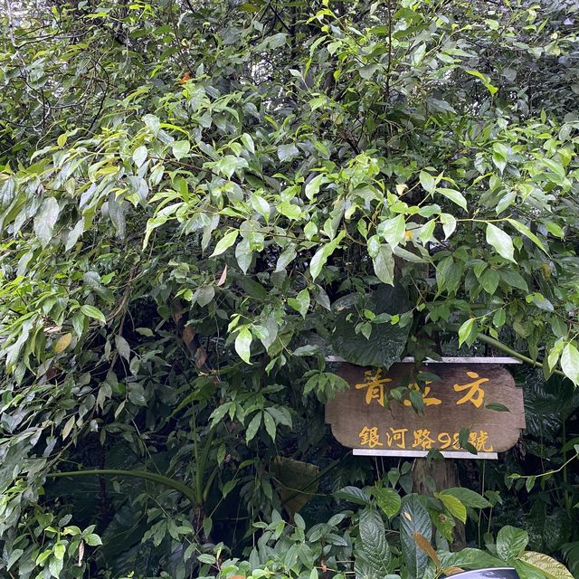 新店山區吸取芬多精
