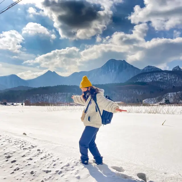 너도나도 인생샷 📸 쌉가능! 겨울 울릉도 나리분지❄️