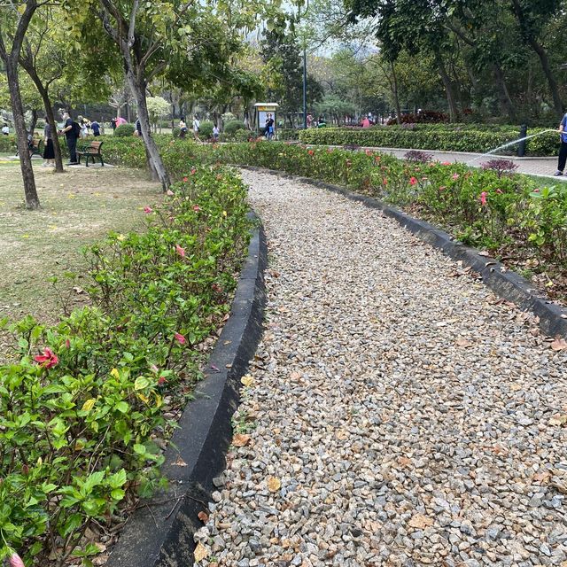黃橙花風鈴木盛放｜市區賞花好去處
