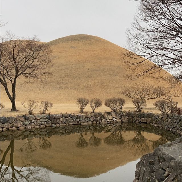 경주 여행 인생샷 보장 포토존이 있는, 경주 ‘대릉원’