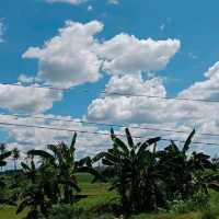 Bacolod Escaped