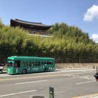 초록초록 힐링하러 죽녹원 대나무숲 담양여행