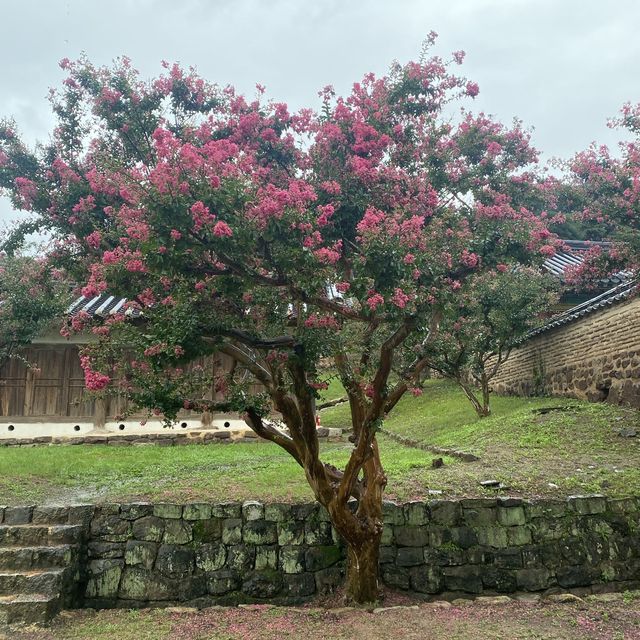 안동 여행 필수코스 “병산서원”