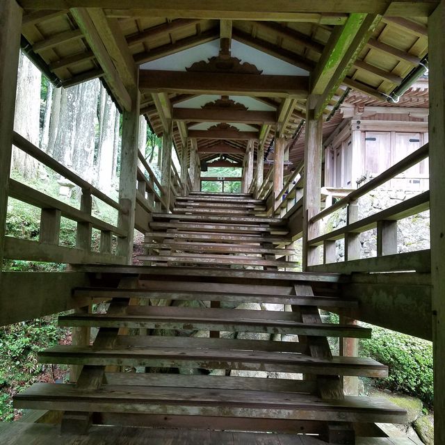 【福岡・糸島】雷山千如寺大悲王院で感動したお経