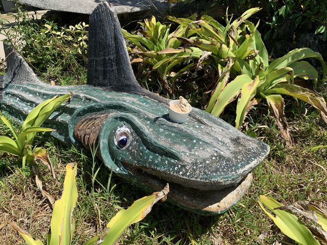 沖縄　沖縄旅行　由布島のカフェ　由布島茶屋で限定ジェラードを❗️