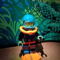 Find The Lego Figurines Located In Sealife