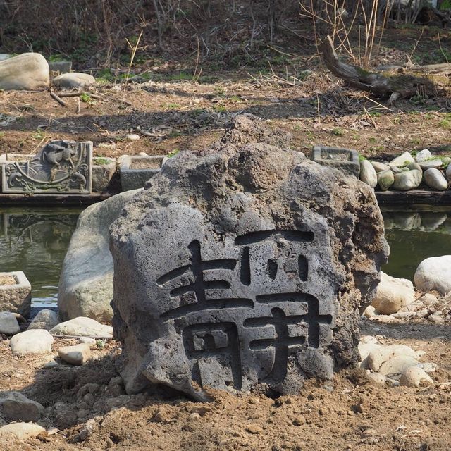 韓劇始祖冬日戀歌拍攝🎬地😍戀人浪漫景點南怡島