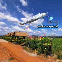 เดินสะพานสายรุ้งวิวทุ่งนา@ตะวัน นา คาเฟ่