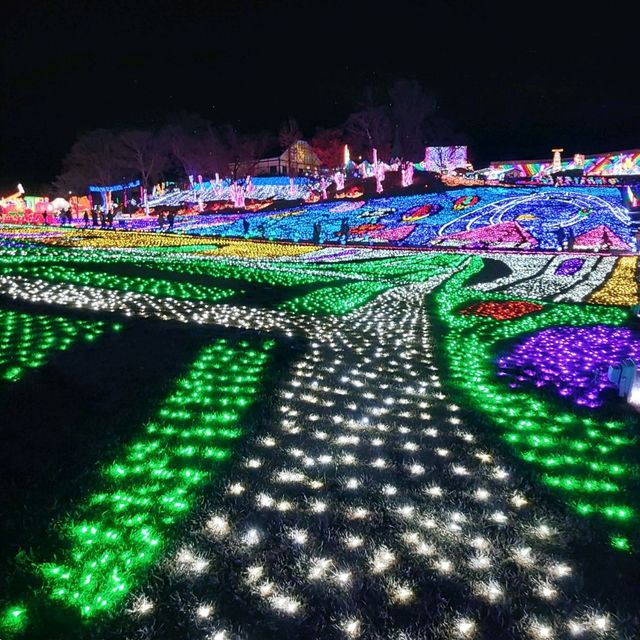 千葉県！東京ドイツ村のイルミネーション①