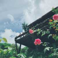 สวนคุณปู่