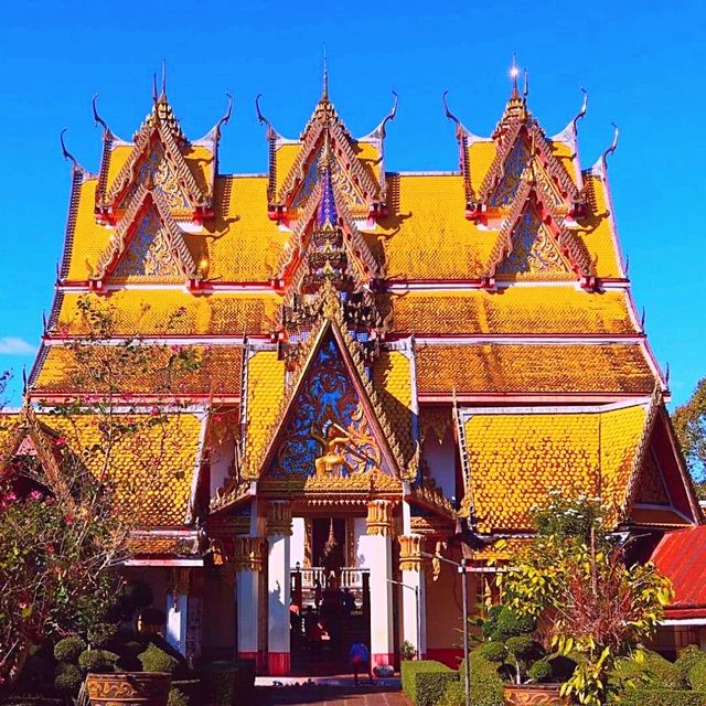 💙วัดวังก์วิเวการาม (ใหม่) 