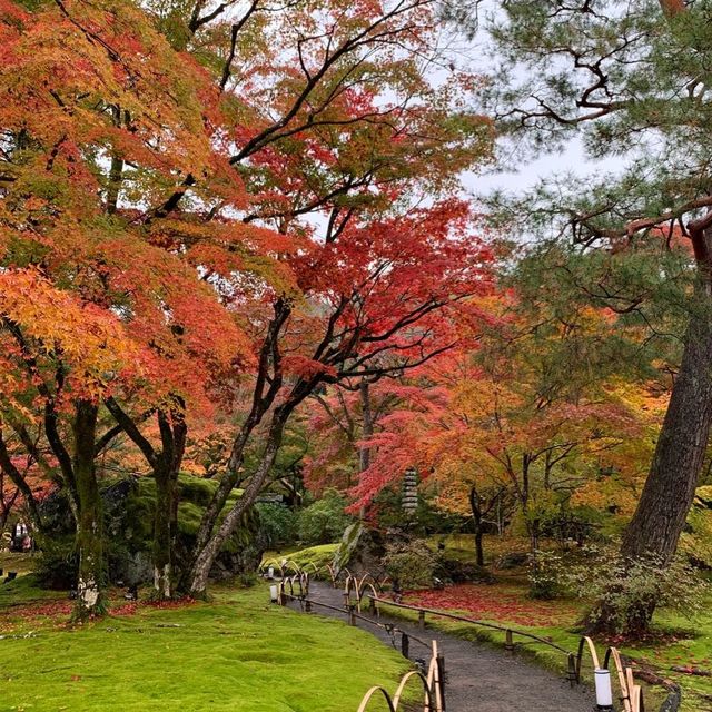 京都紅葉2022  宝厳院の素晴らしい紅葉