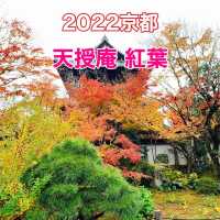 京都紅葉2022  天授庵の素晴らしいすぎる紅葉