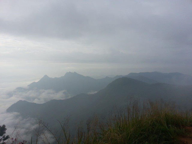 "ภูชี้ฟ้า" "ภูชี้ฟ้า"