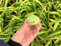 【千葉】ディズニーランド！グルメめぐり