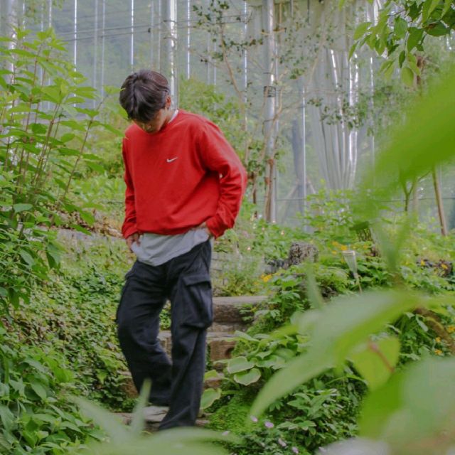 [진해] 아름다운 풍경 감상하기.