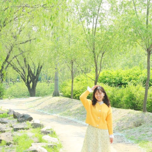유채꽃이 예쁜 반포한강공원 '서래섬'