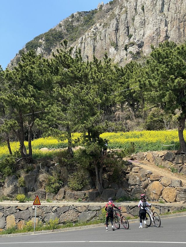 < 제주 여행 > 산방산 해안, 용의 머리를 닮은 용머리해안 🌊