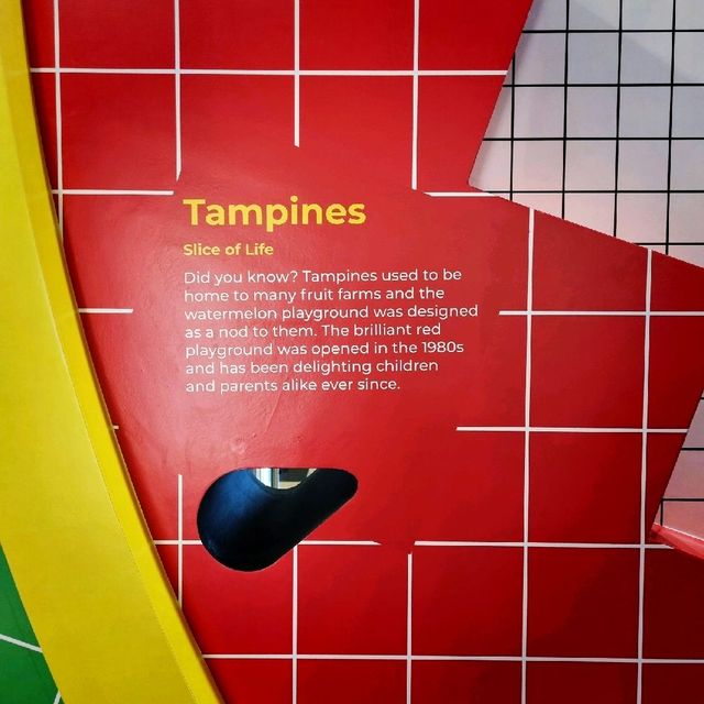 Changi Airport Exhibitions At T3