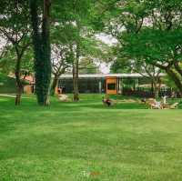 คาเฟ่ที่มีวิวสวนสวยๆ สีเขียวๆสลายตาสุดๆ