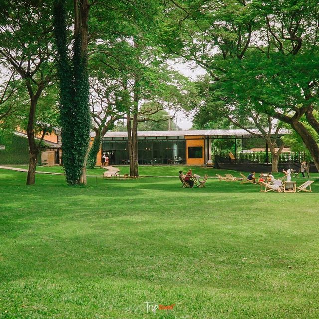 คาเฟ่ที่มีวิวสวนสวยๆ สีเขียวๆสลายตาสุดๆ