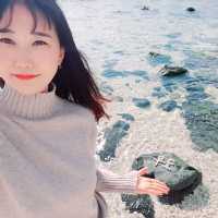 제주여행의 필수코스 "우도" 