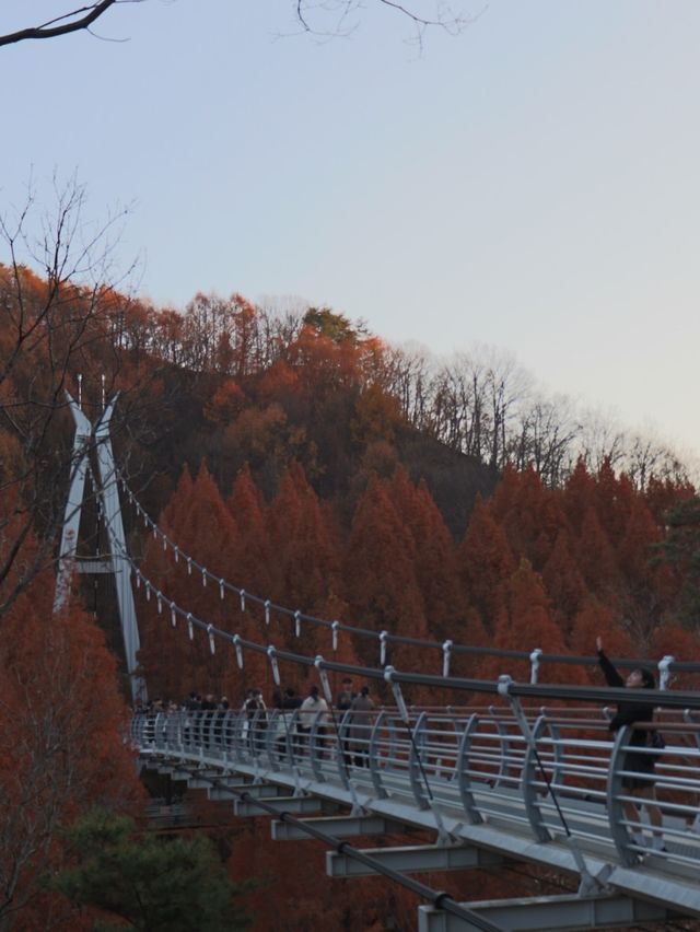 단풍 막차타러 다녀온 대전 장태산 