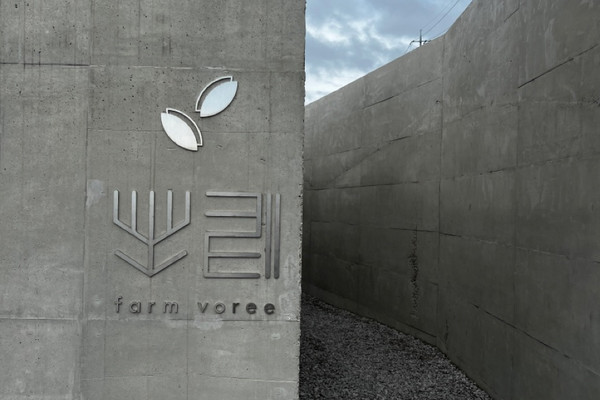 백수해안도로 카페보리 트립닷컴 영광군