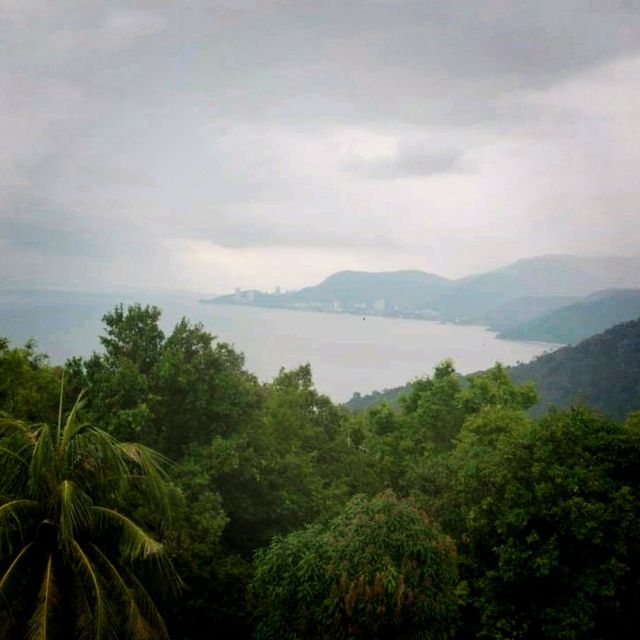 Hiking At Penang National Park