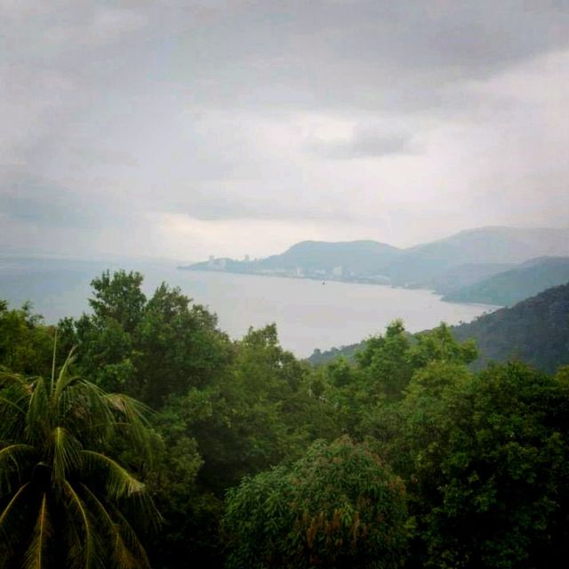 Hiking At Penang National Park