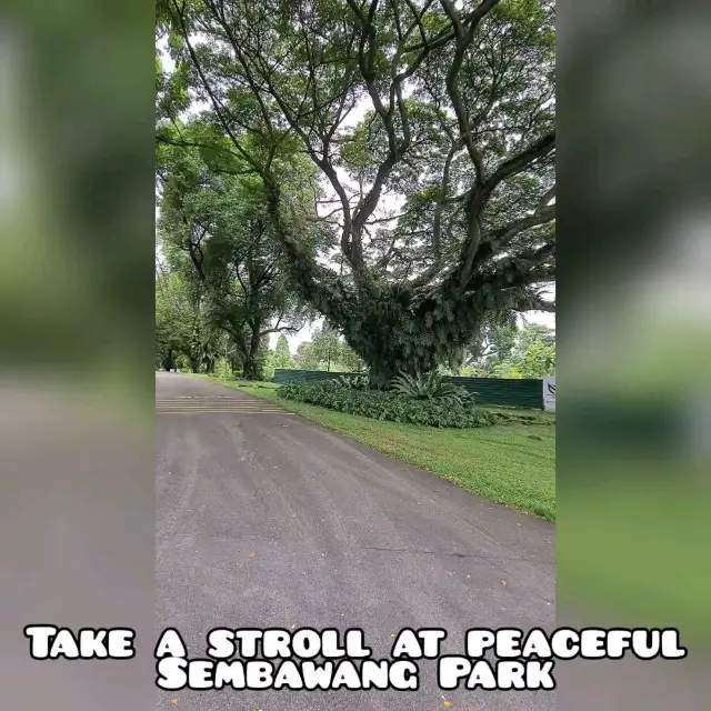 Peaceful Park in the North of Singapore