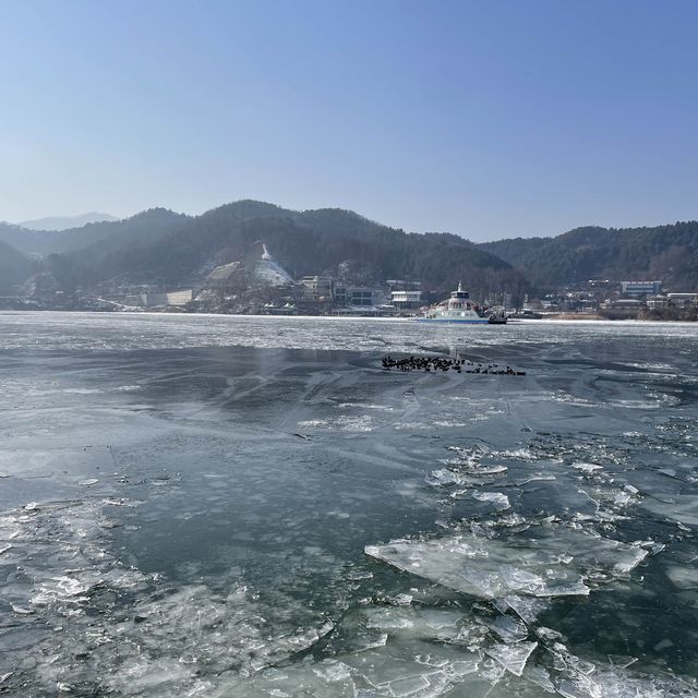 韓國🇰🇷春川南怡島🤲🏻冬日戀歌之路😌雪地浪漫💕漫步