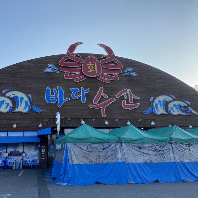 대전 방어 맛집 낮술하기 좋은 바다수산