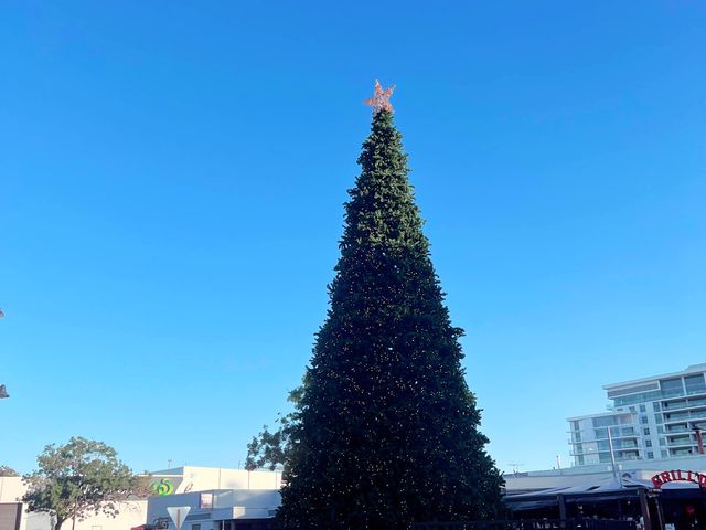 Mandurah Foreshore! More Christmassy Clicks😎