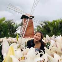 Flower Garden