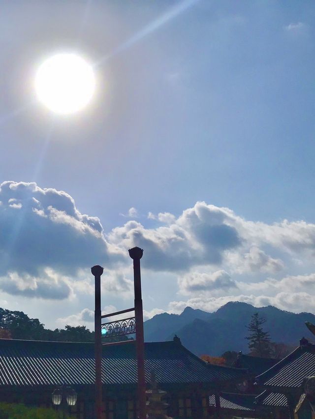 소원이 이루어지는 합천 해인사 🙏🏻