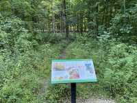 Beech Woodland Trail - Columbus