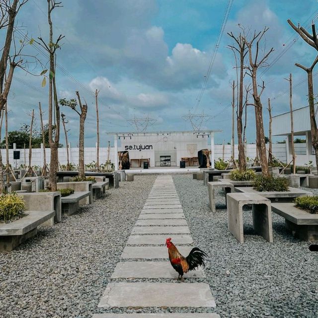 Kopi Setujuan