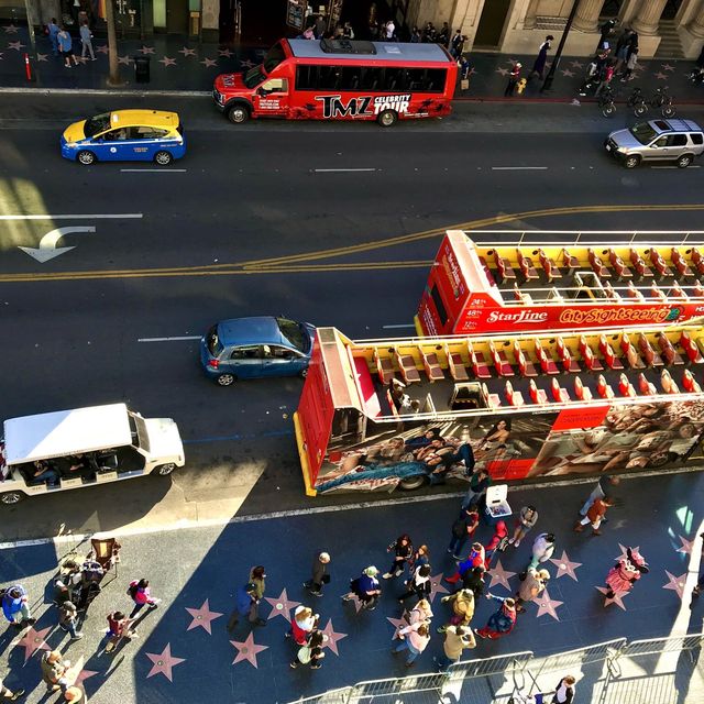 Discover miraculous Hollywood Blvd