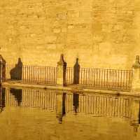A place of tranquility in the city!