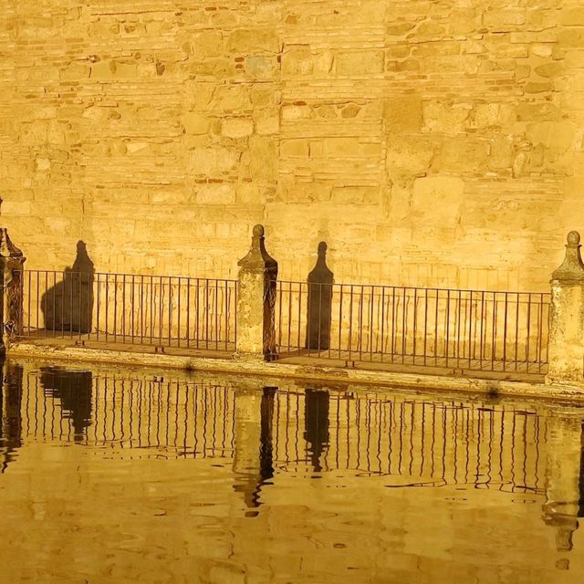 A place of tranquility in the city!
