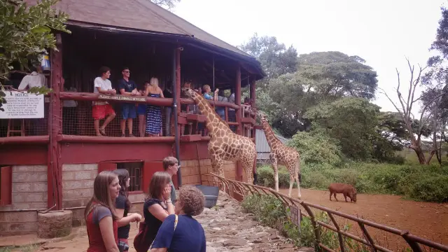 Nairobi Excursion ( Giraffe and Eland)