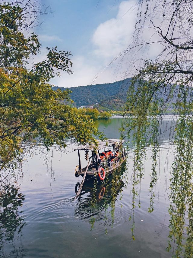 Underrated Piece of Heaven 🌳🛶🦢✨