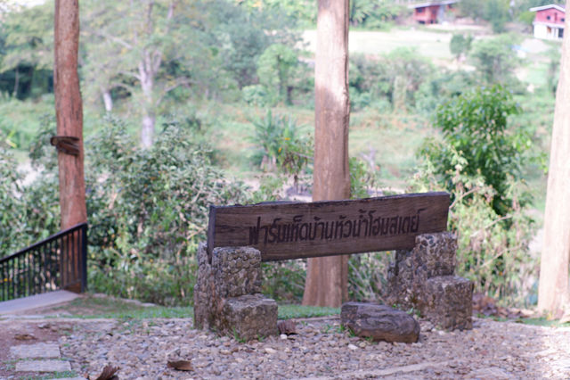 ฟาร์มเห็ดบ้านหัวน้ำ จ.น่าน