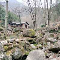 Pujiang Shenli Gorge Sciense Area